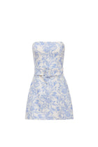 Fae Dress in Toile Brocade