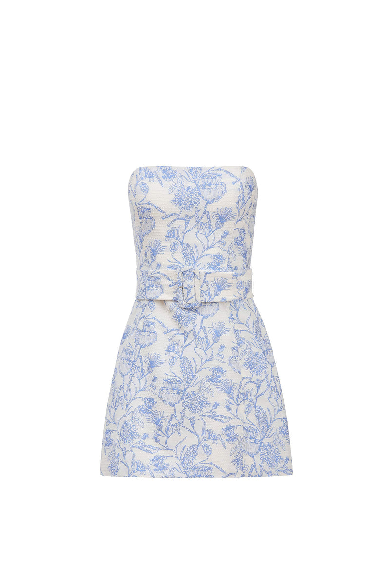 Fae Dress in Toile Brocade